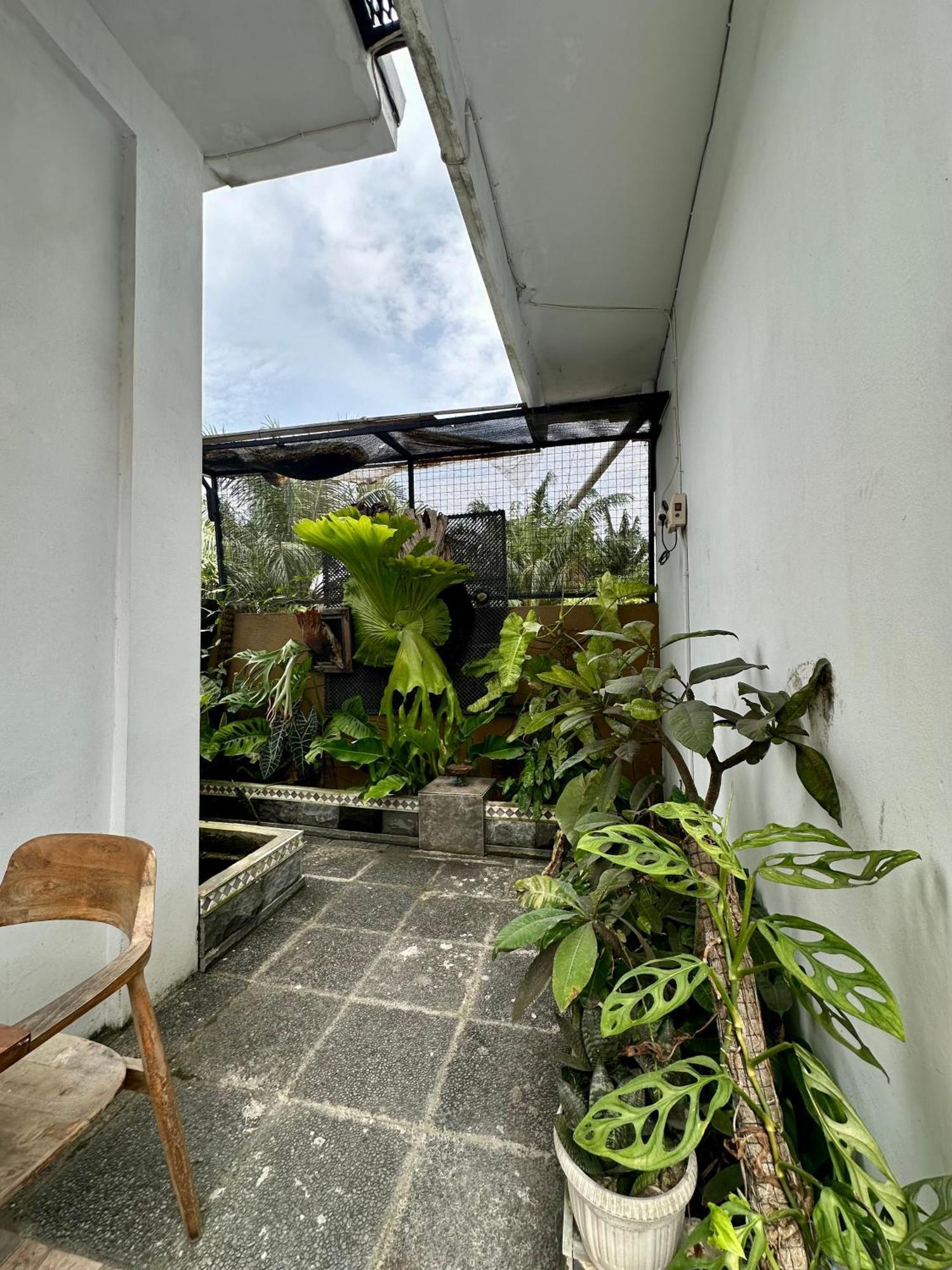 Rumah Kita Canggu  Ngoại thất bức ảnh